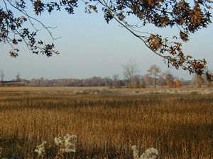 Open Space and Farmland